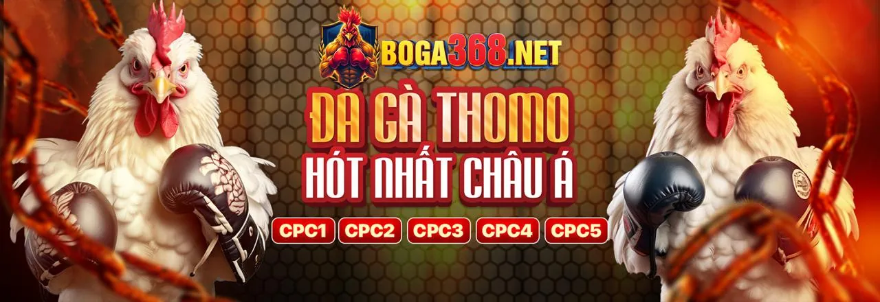 Tổng hợp tài nguyên đá gà Thomo hôm nay